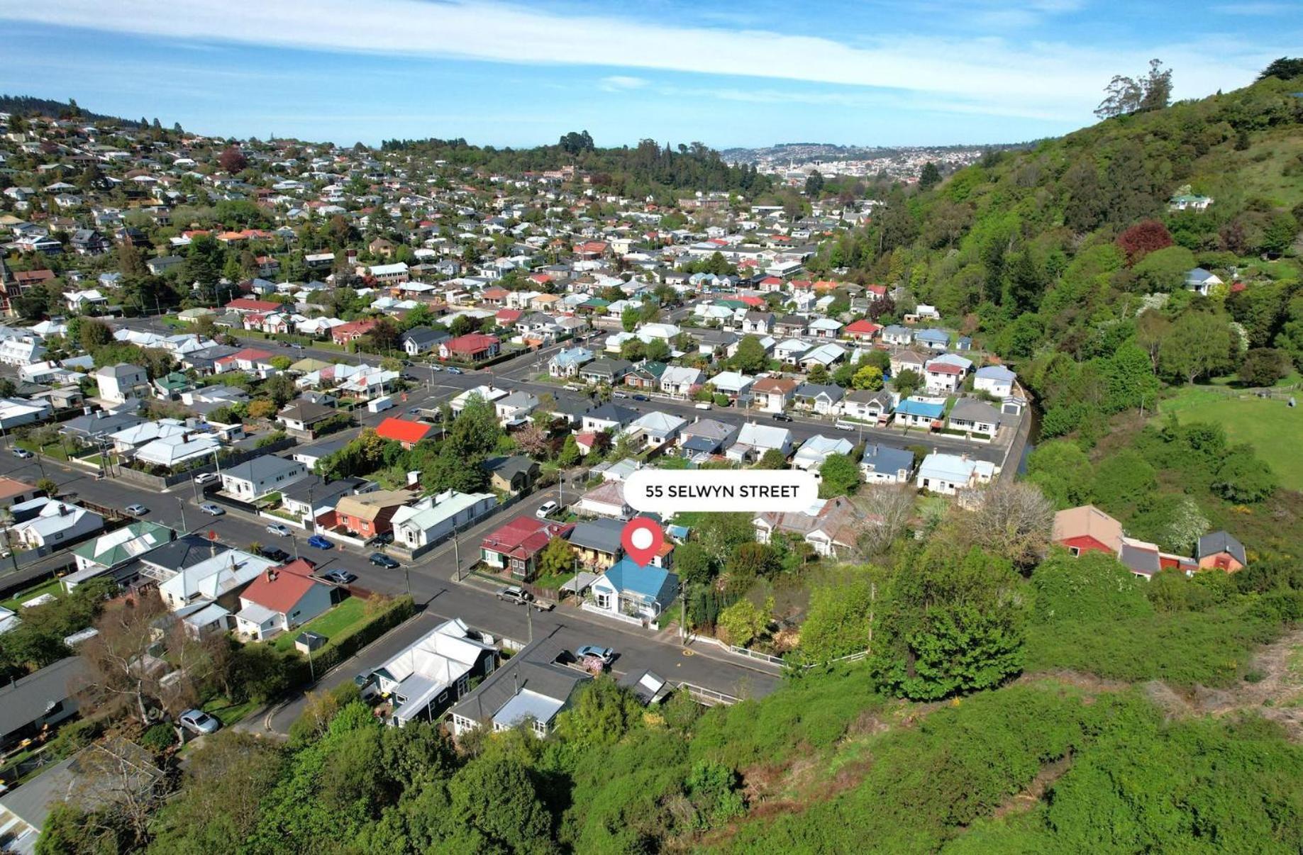 In Dunedin'S Heart, Full House, Full Sun, Full Chill, Why Stay At A Hotel When You Can Afford An Entire House Экстерьер фото