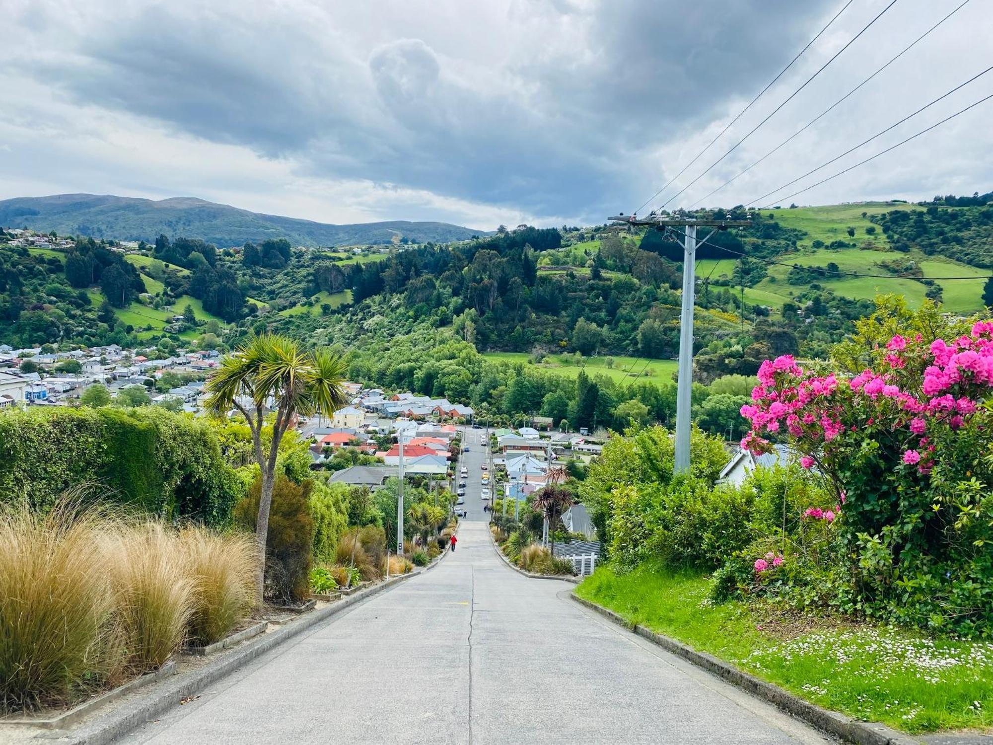 In Dunedin'S Heart, Full House, Full Sun, Full Chill, Why Stay At A Hotel When You Can Afford An Entire House Экстерьер фото